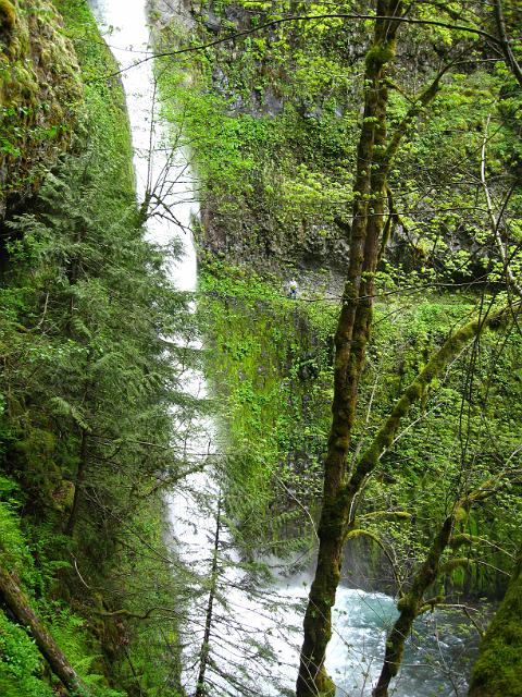 Eagle Creek-153.JPG - Tunnel Falls